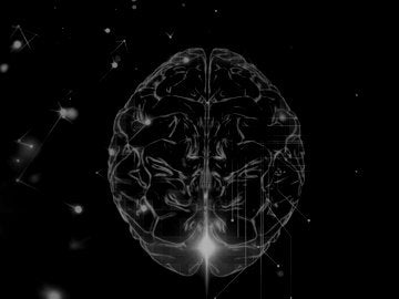 brain-made-simple-neuroscience-for-the-21st-century-neuroscxl-10